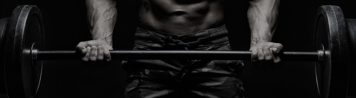 Muscle building workout plan
