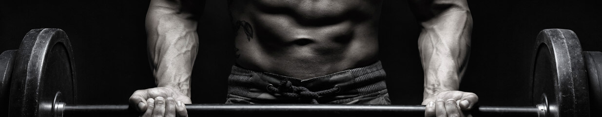Muscle Mass Protein